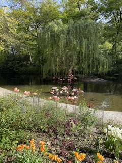 Zoo2