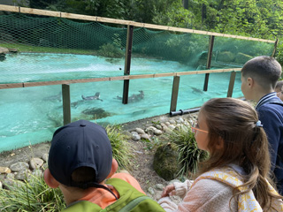 Zoo2b2
