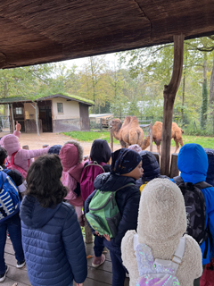 Zoo2