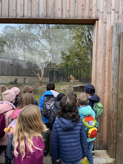 Zoo3